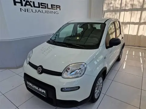 Used FIAT PANDA Not specified 2023 Ad 