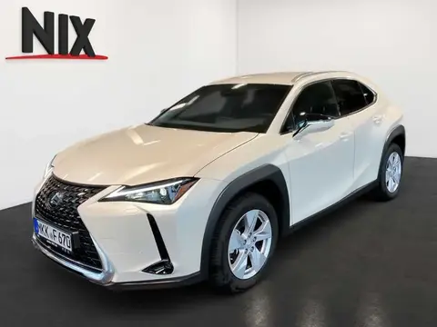 Used LEXUS UX Not specified 2023 Ad 