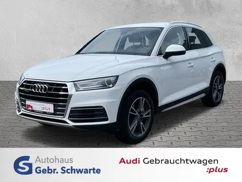 Used AUDI Q5 Diesel 2017 Ad Germany