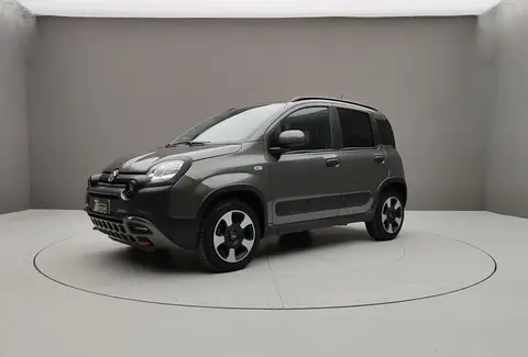 Used FIAT PANDA Not specified 2023 Ad Italy