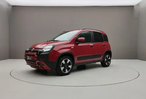 Used FIAT PANDA Not specified 2023 Ad 