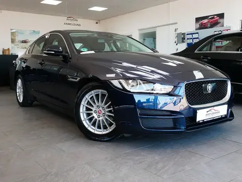 Used JAGUAR XE Not specified 2015 Ad 