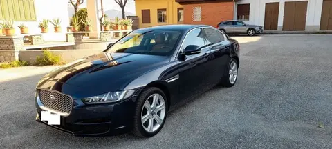 Used JAGUAR XE Not specified 2017 Ad 