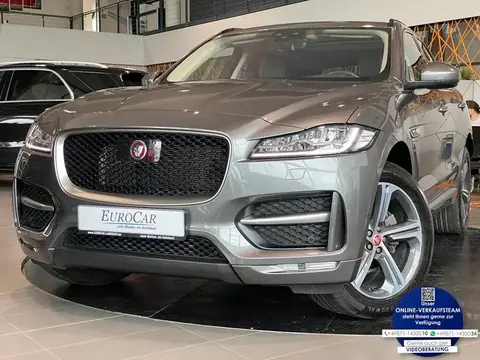 Used JAGUAR F-PACE Not specified 2018 Ad 