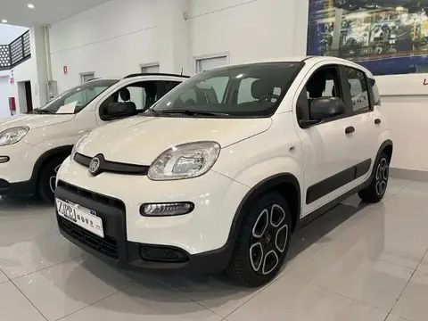 Used FIAT PANDA Not specified 2022 Ad 