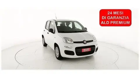 Used FIAT PANDA Not specified 2018 Ad 
