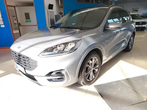 Used FORD KUGA Not specified 2022 Ad 