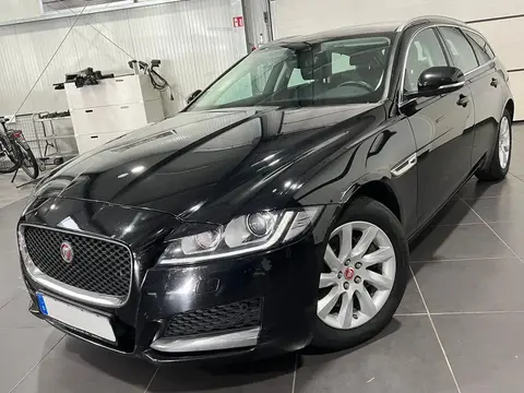 Used JAGUAR XF Not specified 2019 Ad 