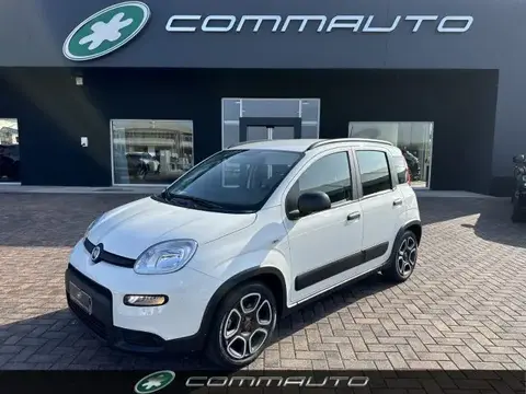 Used FIAT PANDA Not specified 2022 Ad 