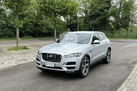 Used JAGUAR F-PACE Not specified 2019 Ad 