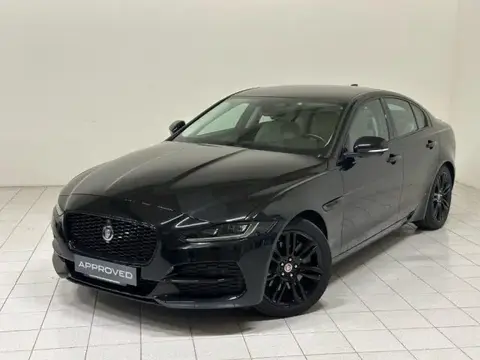 Used JAGUAR XE Not specified 2021 Ad 