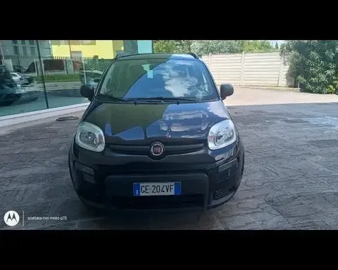 Annonce FIAT PANDA Hybride 2021 d'occasion Italie