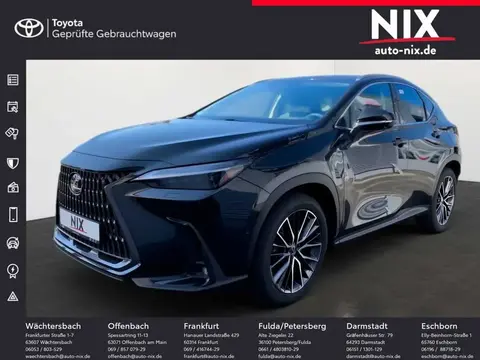 Used LEXUS NX Hybrid 2023 Ad Germany