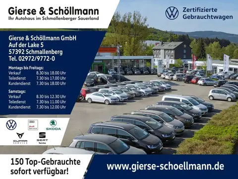Used VOLKSWAGEN POLO Petrol 2023 Ad Germany