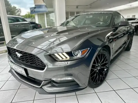 Used FORD MUSTANG Petrol 2015 Ad 