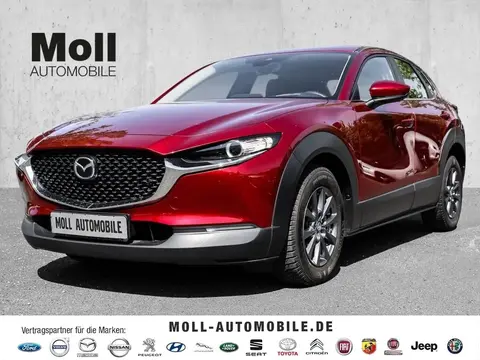 Annonce MAZDA CX-30 Diesel 2020 d'occasion Allemagne