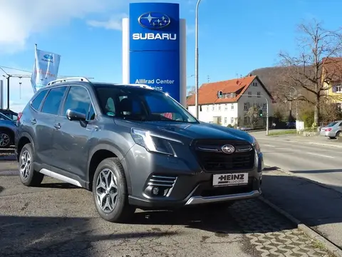 Annonce SUBARU FORESTER Essence 2023 d'occasion Allemagne