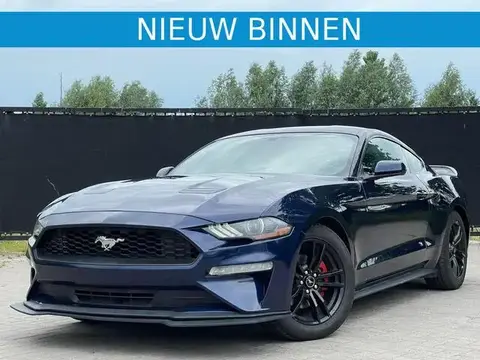 Ford Mustang Convertible 2.3 EcoBoost d'occasion - 1