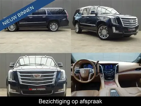 Annonce CADILLAC ESCALADE Essence 2019 d'occasion 