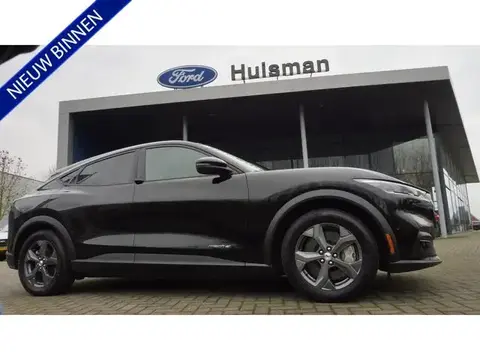 Used FORD MUSTANG Electric 2021 Ad 