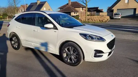 Annonce FORD KUGA Non renseigné 2020 d'occasion 
