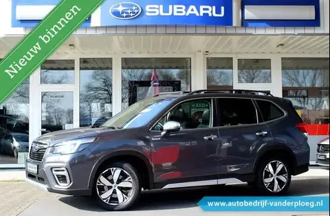 Annonce SUBARU FORESTER Essence 2020 d'occasion 