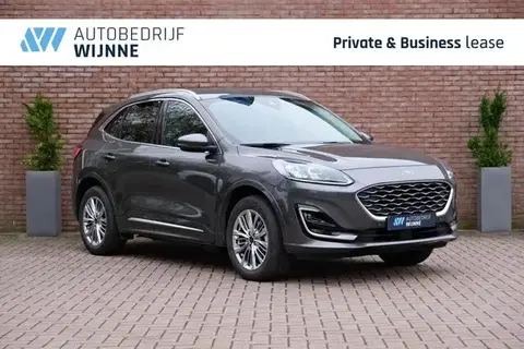 Annonce FORD KUGA Hybride 2023 d'occasion 