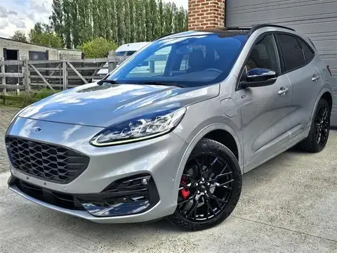 Used FORD KUGA Not specified 2023 Ad 