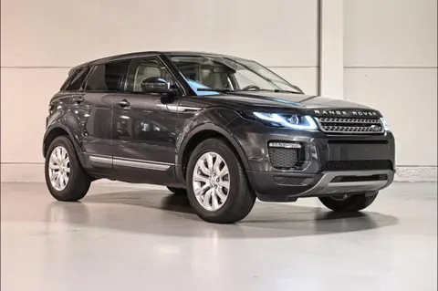 Annonce LAND ROVER RANGE ROVER EVOQUE Diesel 2019 d'occasion France
