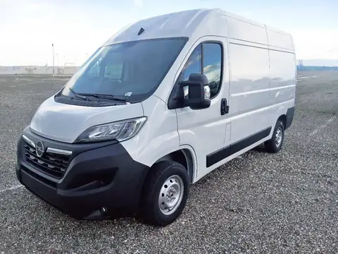 Used OPEL MOVANO Diesel 2024 Ad 