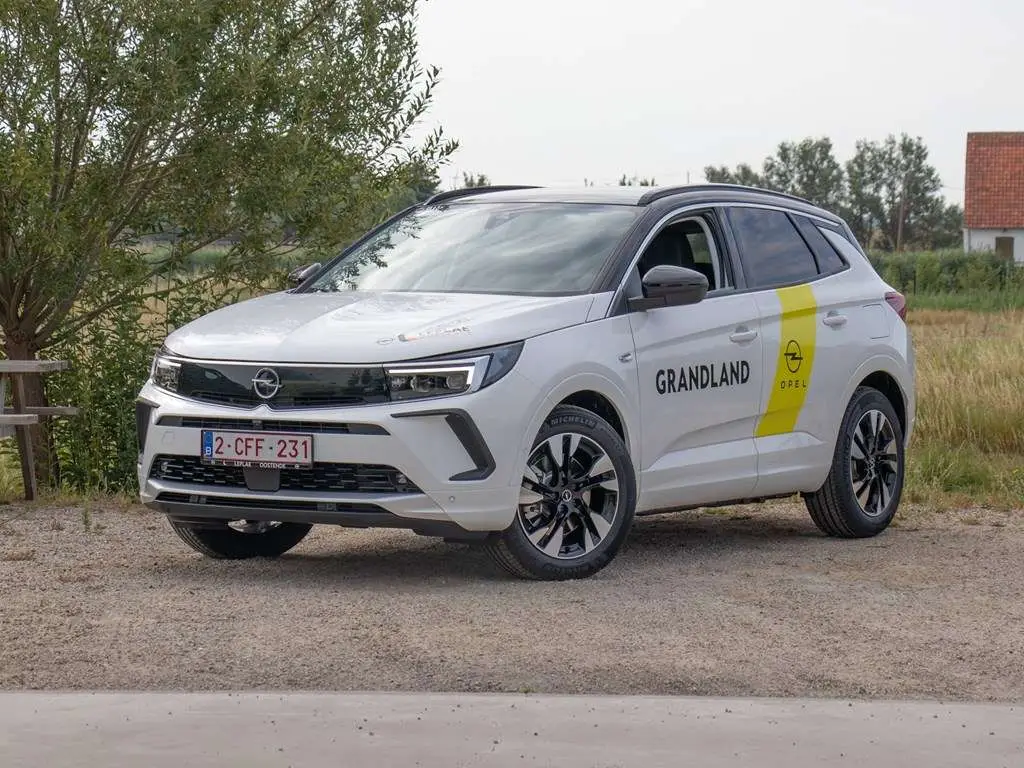 Photo 1 : Opel Grandland 2022 Hybrid