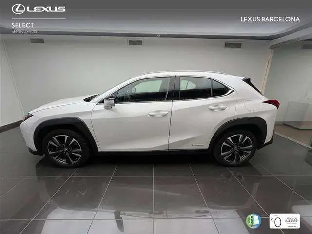 Photo 1 : Lexus Ux 2020 Hybride