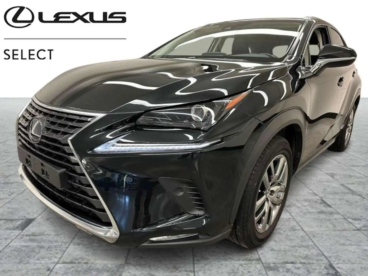Photo 1 : Lexus Nx 2020 Hybrid