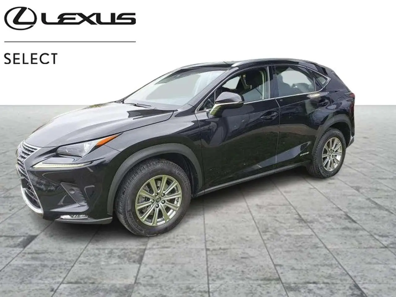 Photo 1 : Lexus Nx 2019 Hybrid