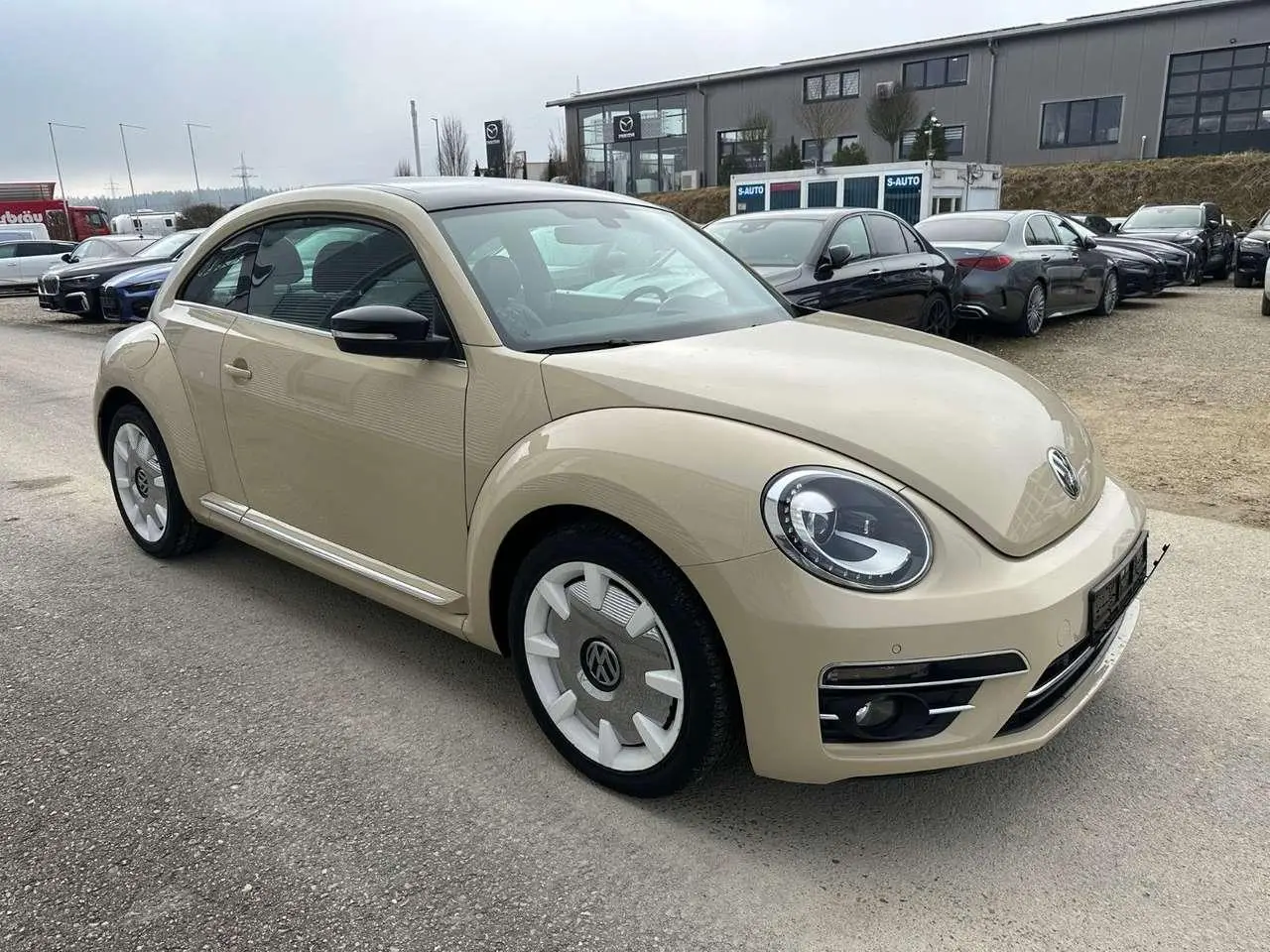 Photo 1 : Volkswagen Beetle 2019 Essence