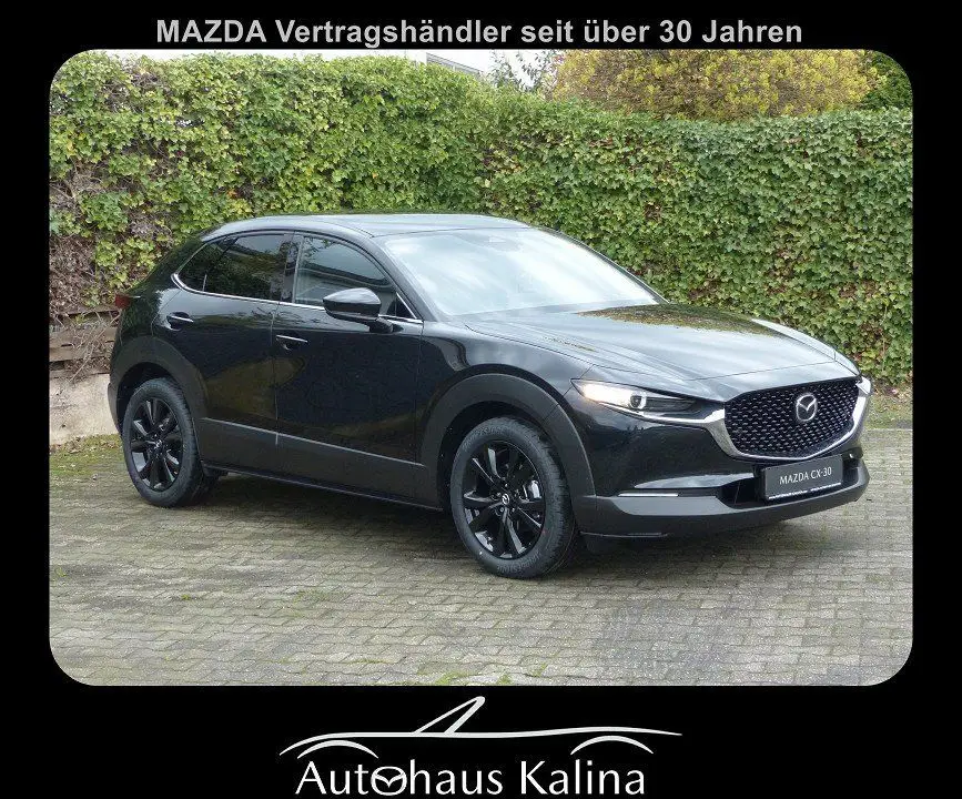 Photo 1 : Mazda Cx-30 2024 Petrol