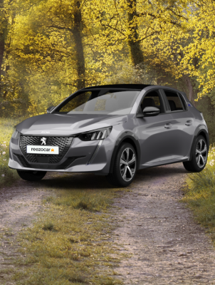 Destockage Peugeot e-208 moins chère